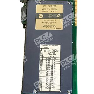 Allen Bradley 966210-01 12-120V AC Output Module 1771-OAD