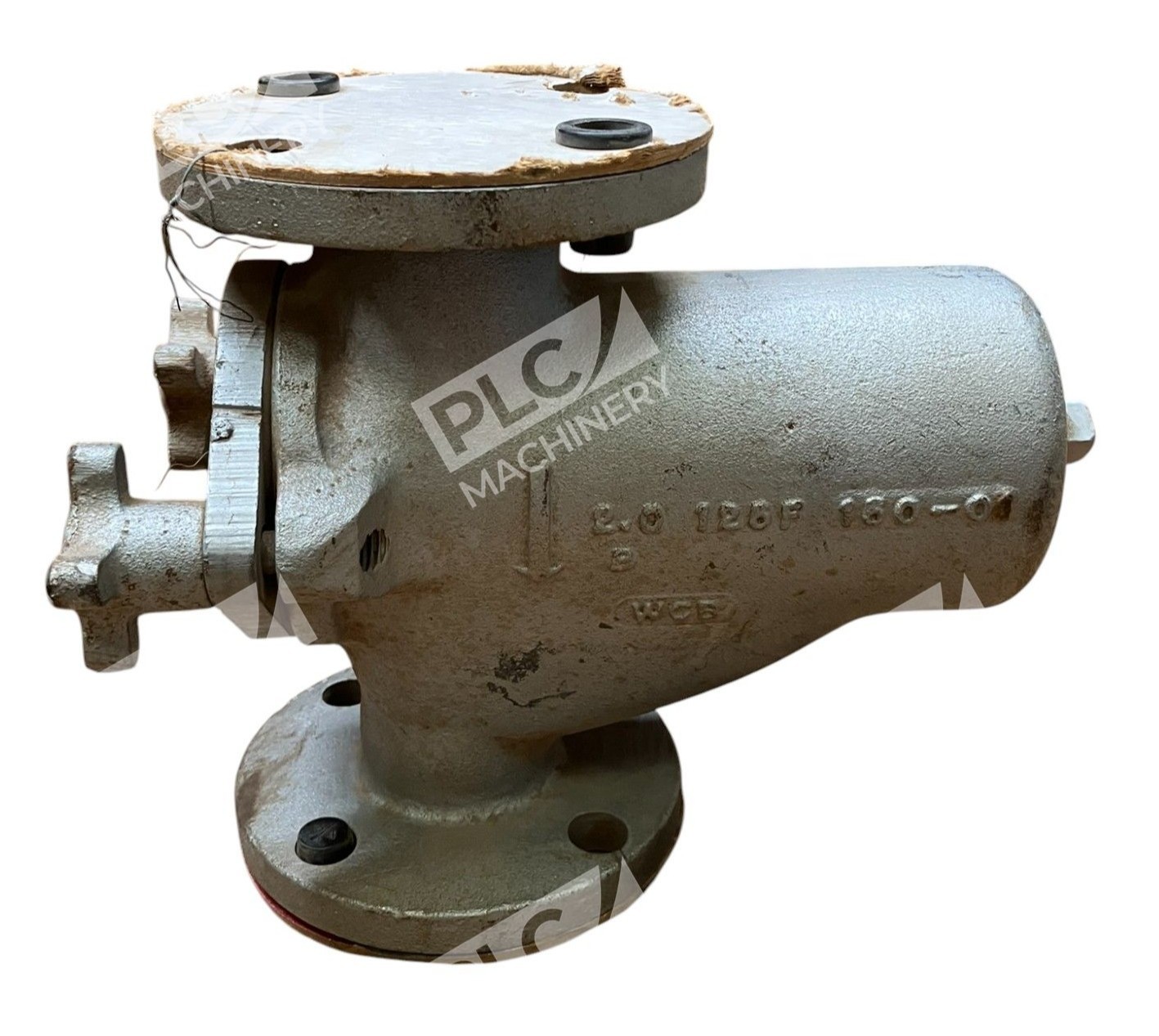 Mueller Steam Spec Co 2.0 126F 160-01 WCB Duplex Strainer Class 150 - Image 7