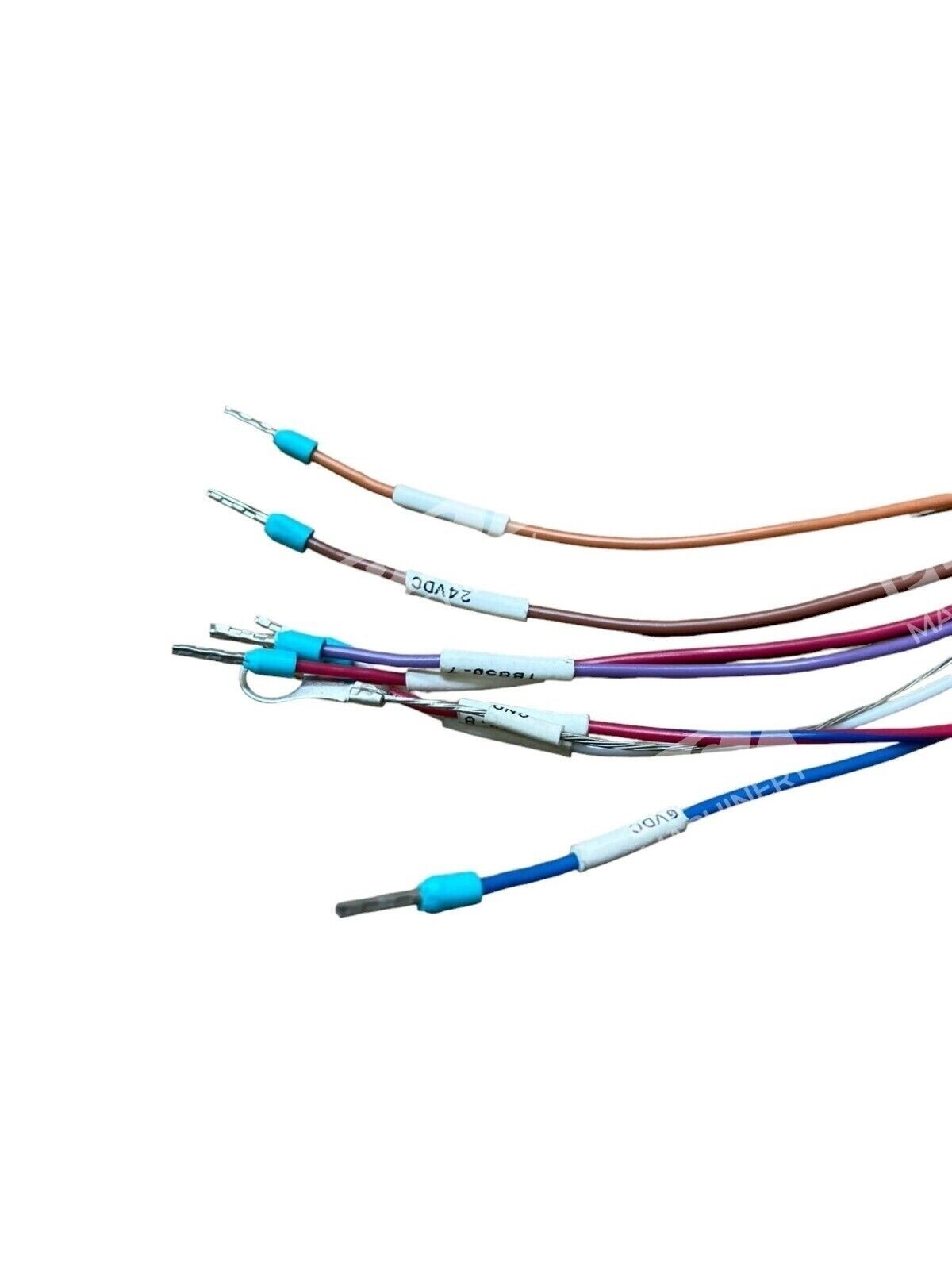 Turck BKWM 19-995-6.4 Molded Cordset Single Ended Cable - Image 6