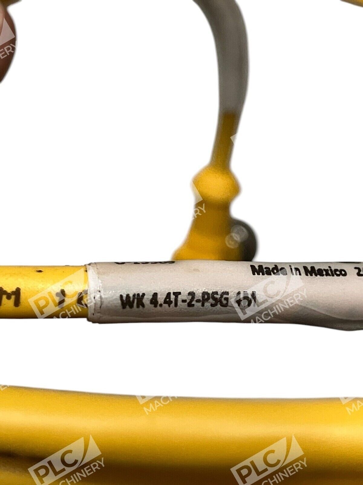 Turck U-13509 Double Ended Cordset WK 4.4T-2-PSG 4M - Image 4