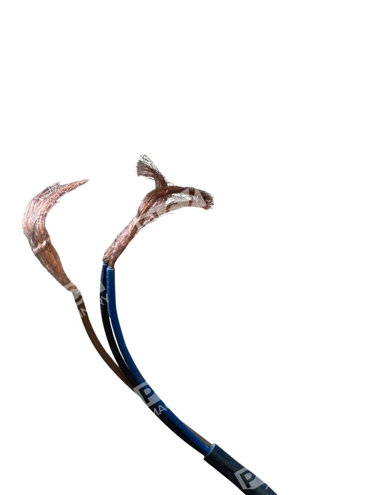 Telemecanique XS1M12PA371 proximity sensor - Image 9
