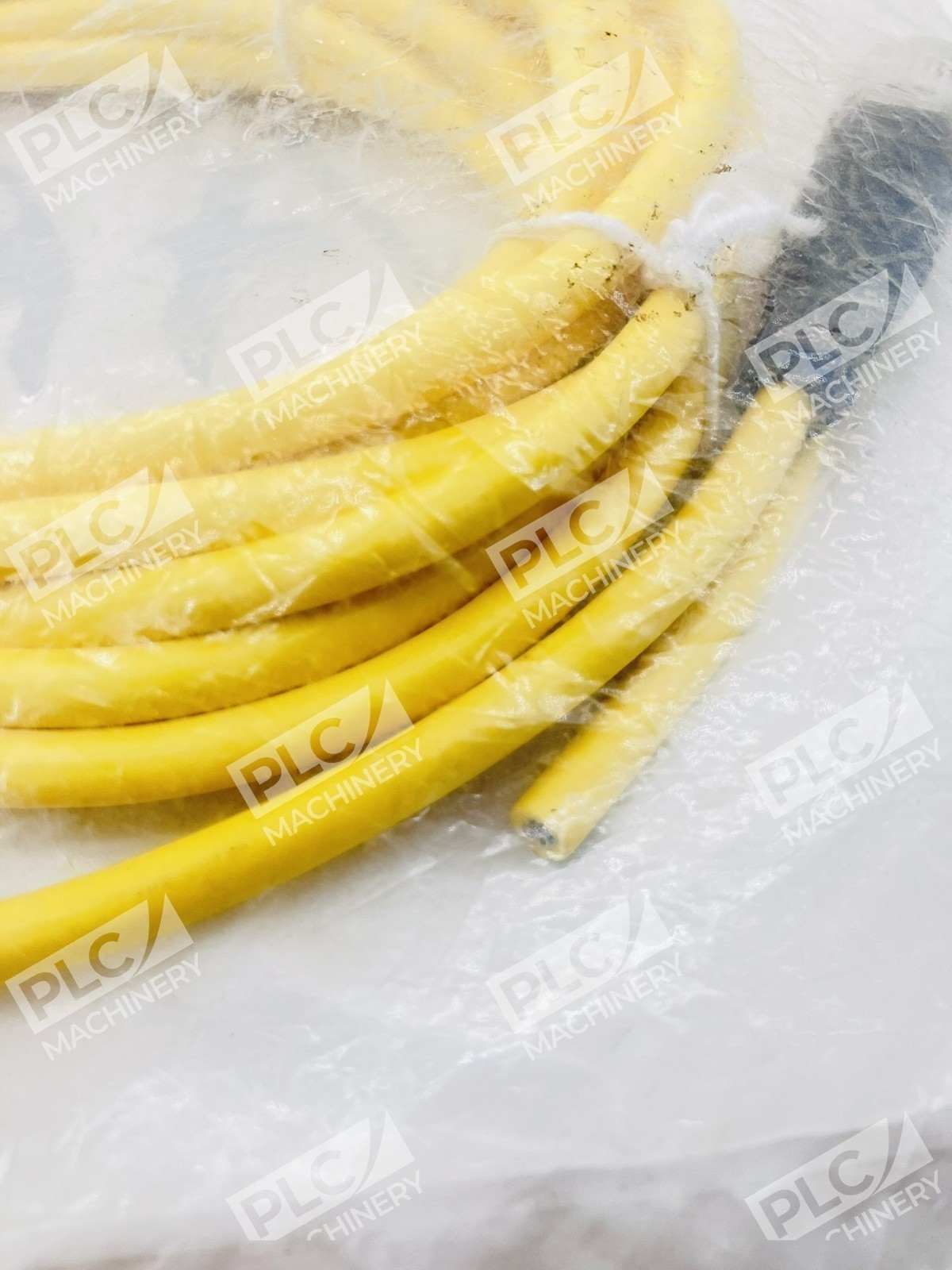 Balluff BCC0AUZ M12 Female Straight Cordset Cable Pigtail - Image 6