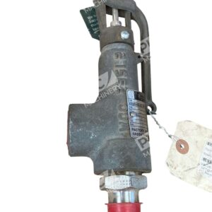 Bermingham Controls 19126LCF-2-CC-MS-34-MT-FT-GS